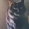 Daniel Bogenreif - @danielbogenreif - TikTok