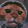 Kevin daniel bogota albornoz - @kevin.daniel.bogo - TikTok