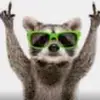 Daniel bogue - @daniel_bogue2011 - TikTok