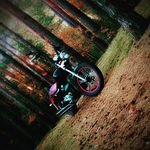 Daniel Bogusz - @daniel.bogusz.334 - Instagram