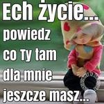 Daniel Boguszynski - @danielboguszynski - Instagram
