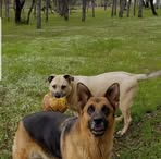 Dan Bohacek - Facebook