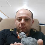 danielbohnert - @danielbohnert6 - Instagram