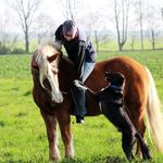 Daniel Böhnke - @danielboehnke79 - Instagram