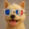 DANIELE - @danieleboileau - TikTok