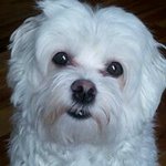 Daniel Boivin - @boivindaniel - Instagram