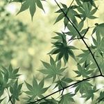 Daniel Boivin - @daniel.boivin233 - Instagram