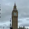 Daniel Bojorquez - @danbojorquez444 - TikTok