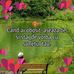 Daniel Bolea - Facebook