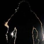 Daniel Bolf - @bookumdanom1 - Instagram