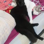 Daníel Bolívar - @daniel_bolivar1 - Instagram