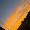 danielbolio51 - @danielbolio51 - TikTok