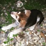 Daniel boling - @dbo00.71 - Instagram