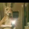 Daniel Bolivar - @daniel.bolivar48 - TikTok