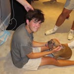 Daniel Bollman - @danielbollman - Instagram