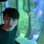 Daniel Bolt - @daniel23085 - Instagram