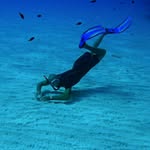 Daniel Bolzani - @daniel_bolzani - Instagram