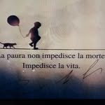 Daniel Bombardieri - @danielbombardieri8.1 - Instagram