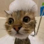 daniel Bonar - @bonardaniel624 - Instagram
