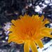 Daniel Bonar - Facebook