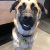 Daniel Booker - @old_man_pete_69 - TikTok