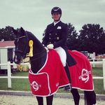 Daniel Booker - @danielbooker_dressage - Instagram