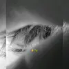 Daniel Borbor - @daniel.borbor14 - TikTok