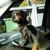 Daniel Borawski - Facebook