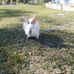 Jorge Daniel Borghi - Facebook