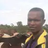 Daniel Bosco - @daniel.bosco8 - TikTok