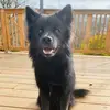 danielbouffard182 - @danielbouffard182 - TikTok