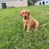 Daniel Bowls - @daniel.bowls - TikTok
