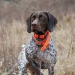 LaDaniel Boykin - @daniel.boykin - Instagram