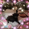 Daniel Boyko - @2184902751 - TikTok