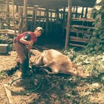 Daniel Boza - @daniel.boza - Instagram