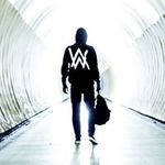 Daniel Braatz - @bonkiebonker - Instagram