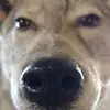 danielbraatz10 - @daniel.b975 - TikTok