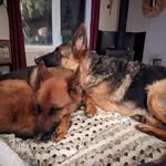 Daniel Brabant - @brabant3462 - Instagram