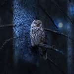 Daniel Brabant - @brabant1293 - Instagram