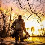 Daniel Brabham - @daniel.brabham - Instagram