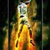 Daniel Bracamontes - Facebook
