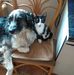 Daniel Brach - Facebook