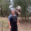 Daniel Braddock - @user03773489 - TikTok