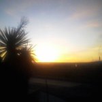 Daniel Braden - @danieltbraden - Instagram