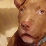 Daniel Brady - @daniel.brady.39948 - Instagram