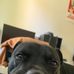 Daniel Bradford - Facebook