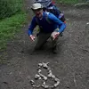 Daniel Baginski - @daniel_baginski - TikTok