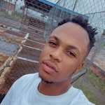 Daniel Braham's - @danielbrahams - Instagram