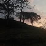 Daniel - @daniel.brais - Instagram