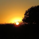 Daniel Braithwaite - @daniel.braithwaite.313 - Instagram